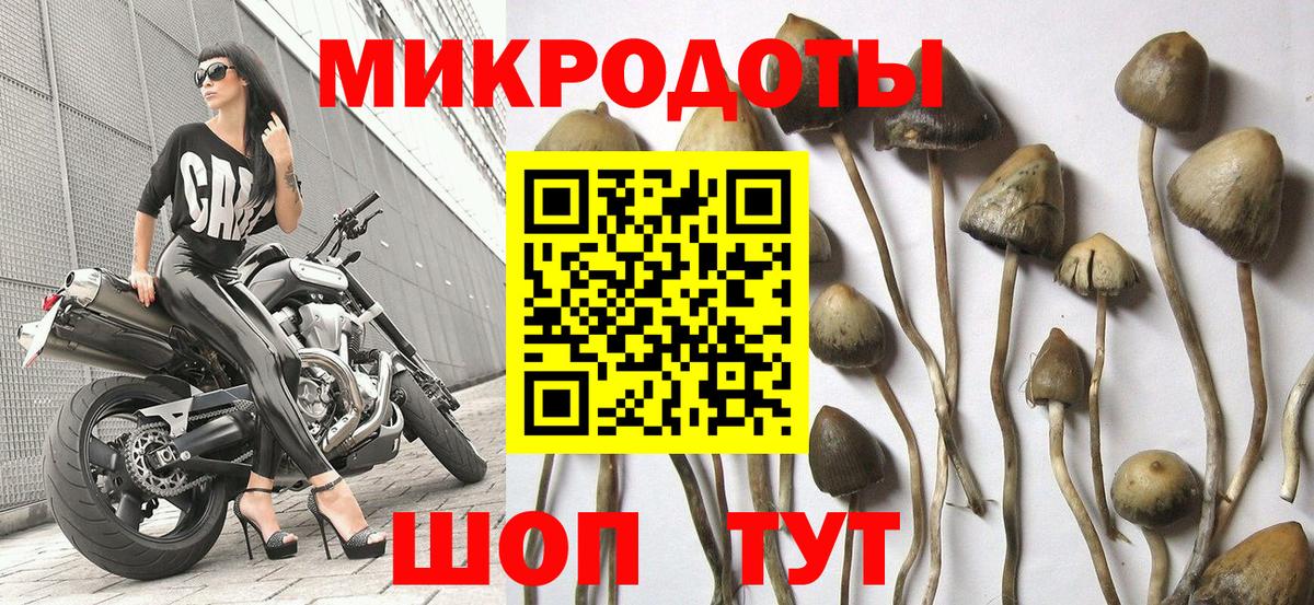 Псилоцибиновые грибы мухоморы  купить закладку  Тула  Вход с VPN 